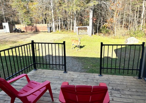 Balcon - 1622 Côte St-Gabriel O., Saint-Sauveur, QC - Outdoor