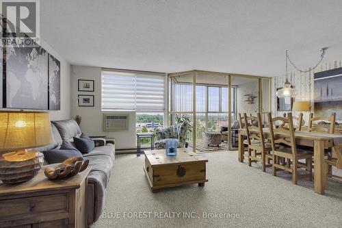 909 - 127 Belmont Drive, London South (South O), ON - Indoor Photo Showing Living Room