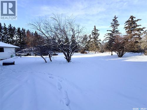 20 4Th Avenue E, Neilburg, SK - Outdoor With View