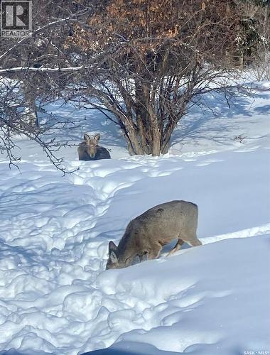 20 4Th Avenue E, Neilburg, SK - Outdoor With View