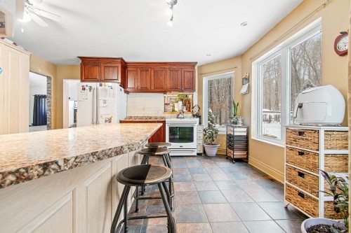 Cuisine - 58 Rue Binette, Brownsburg-Chatham, QC - Indoor Photo Showing Kitchen