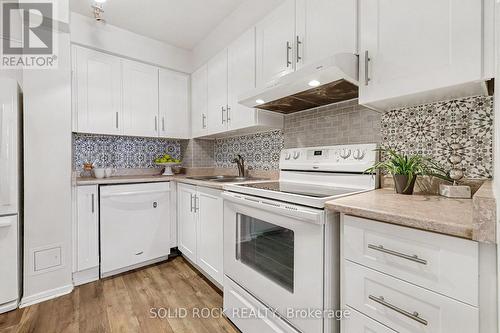 108 - 2871 Richmond Road, Ottawa, ON - Indoor Photo Showing Kitchen With Double Sink