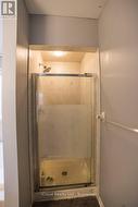 Second bedroom Private washroom shower - 