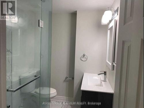 Legal Basement - 1540 Manorbrook Court, Mississauga, ON - Indoor Photo Showing Bathroom