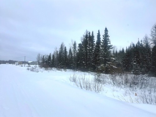 Terre/Terrain - 113 Rue Trudel, Val-D'Or, QC 