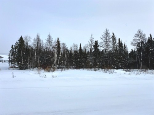 Terre/Terrain - 113 Rue Trudel, Val-D'Or, QC 