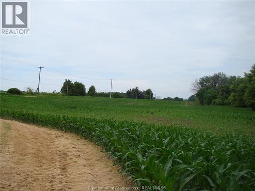 7914 Haggerty Road, Dawn-Euphemia, ON - Outdoor With View