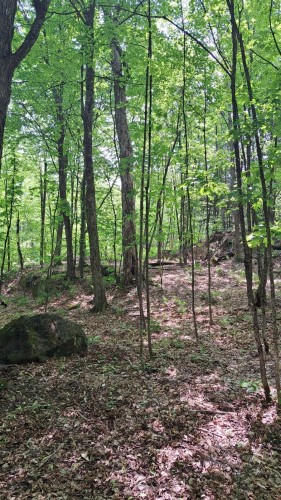 Terre/Terrain - Rue De Lausanne, Montcalm, QC 