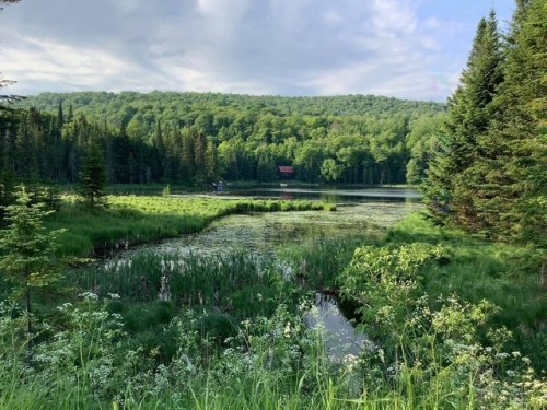 Vue sur l'eau - Rue De Lausanne, Montcalm, QC 