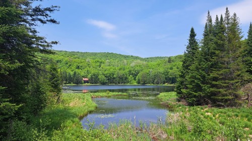 Vue sur l'eau - Rue De Lausanne, Montcalm, QC 