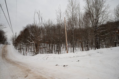 Rue - Rue De Lausanne, Montcalm, QC 