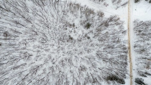 Terre/Terrain - Rue De Lausanne, Montcalm, QC 