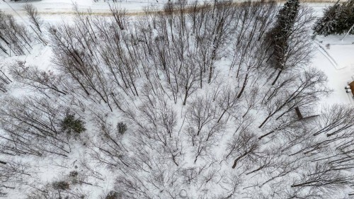 Terre/Terrain - Rue De Lausanne, Montcalm, QC 