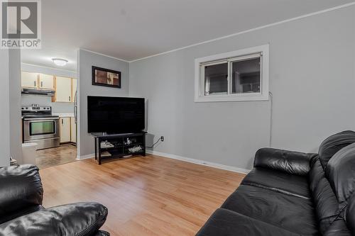 15 Hemmer Jane Drive, Mount Pearl, NL - Indoor Photo Showing Living Room