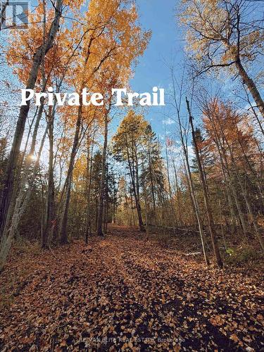 4909 Holborn Road, East Gwillimbury, ON - Outdoor With View