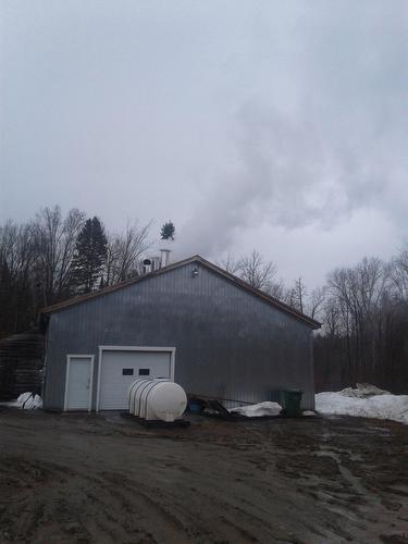 Maple grove - Km 12 Ch. Maniwaki, Territoires Autres/Other Territories, QC - Outdoor