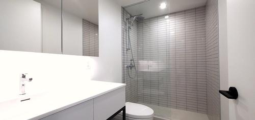 Salle de bains - 3317-1210 Rue Jeanne-Mance, Montréal (Ville-Marie), QC - Indoor Photo Showing Bathroom