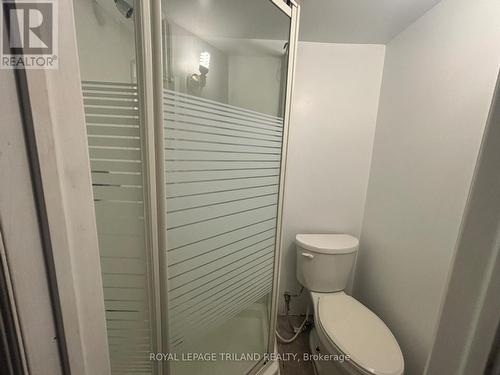 109 Conway Drive, London South (South X), ON - Indoor Photo Showing Bathroom