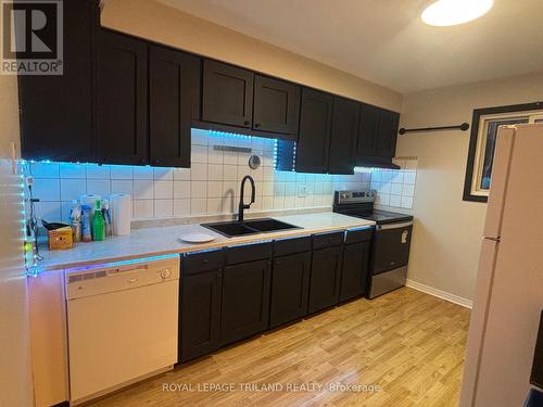 109 Conway Drive, London South (South X), ON - Indoor Photo Showing Kitchen With Double Sink