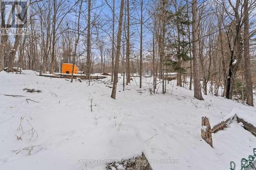 Spacious Back Yard - 27 Sunnyside Street, Dysart Et Al (Dysart), ON - Outdoor With View