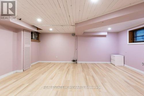 94 Bastedo Avenue, Toronto, ON - Indoor Photo Showing Basement