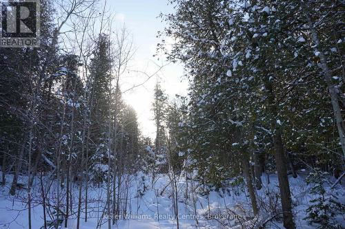 Pt Lt 36 Walter Charman Drive, Northern Bruce Peninsula, ON 