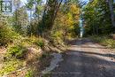 Easy Access. - 0 Lynx Lake Road, Huntsville (Brunel), ON 
