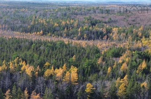 Lot Gabarus Highway, Dutch Brook, NS 