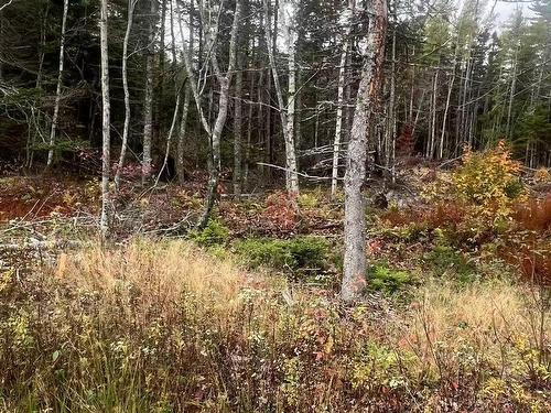Lot Gabarus Highway, Dutch Brook, NS 