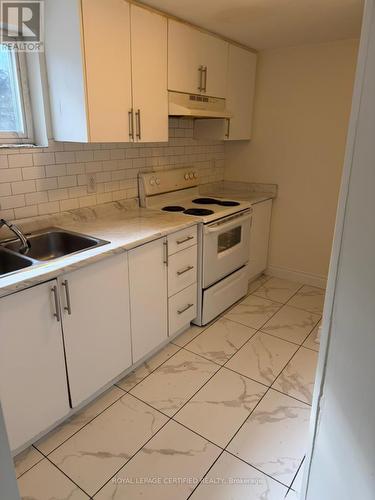 Lower - 96 Brookland Drive, Brampton, ON - Indoor Photo Showing Kitchen With Double Sink