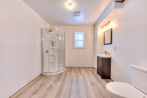 Salle de bains - 101 Mtée Manitonga, Lac-Supérieur, QC - Indoor Photo Showing Bathroom