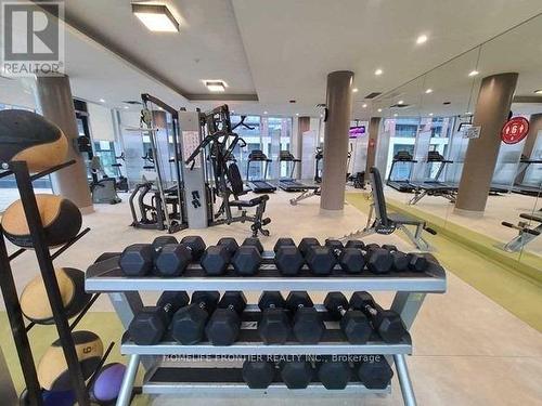 209 - 525 Wilson Avenue, Toronto, ON - Indoor Photo Showing Gym Room