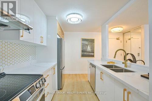 713 - 35 Trailwood Drive, Mississauga, ON - Indoor Photo Showing Kitchen With Double Sink With Upgraded Kitchen