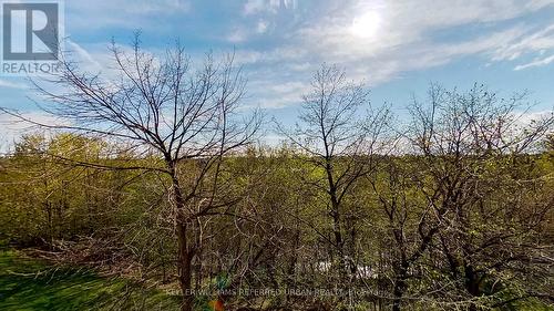 303 - 14 Neilson Drive, Toronto, ON - Outdoor With View