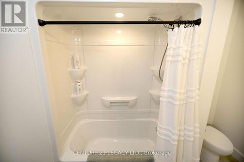 675 Winchester Avenue S, North Perth, ON - Indoor Photo Showing Bathroom