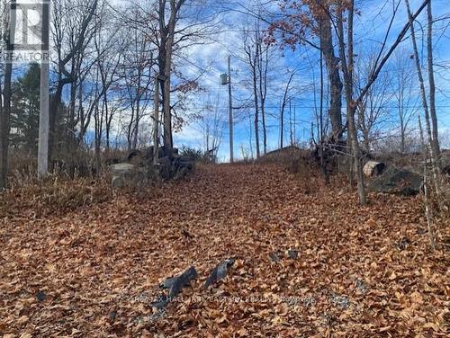 385 Blairton Road, Havelock-Belmont-Methuen (Belmont-Methuen), ON - Outdoor With View