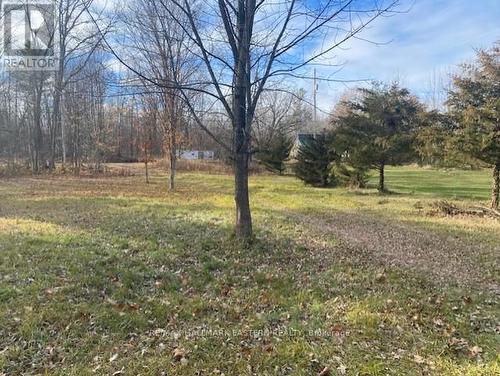 385 Blairton Road, Havelock-Belmont-Methuen (Belmont-Methuen), ON - Outdoor With View