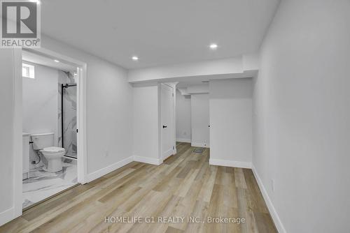 24 Cesar Place, Hamilton, ON - Indoor Photo Showing Other Room