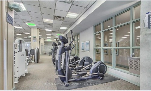316-88 Corporate Drive, Toronto, ON - Indoor Photo Showing Gym Room