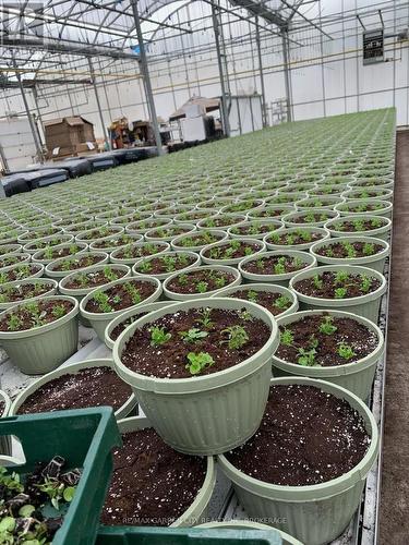 430 Concession 7 Road, Niagara-On-The-Lake (Rural), ON 