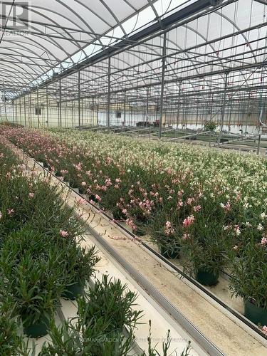 430 Concession 7 Road, Niagara-On-The-Lake (Rural), ON 