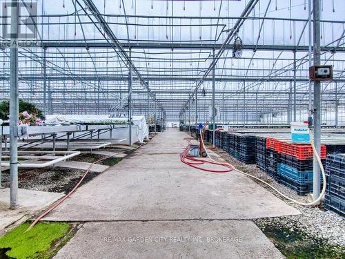 430 Concession 7 Road, Niagara-On-The-Lake (Rural), ON 