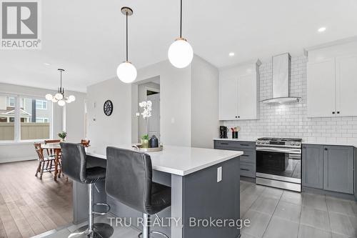 20 Coppermine Street, Ottawa, ON - Indoor Photo Showing Kitchen With Upgraded Kitchen