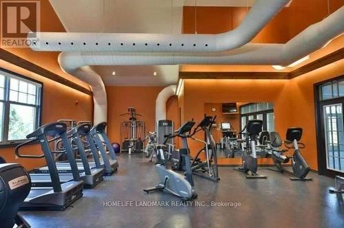 53 Carrick Trail, Welland, ON - Indoor Photo Showing Gym Room