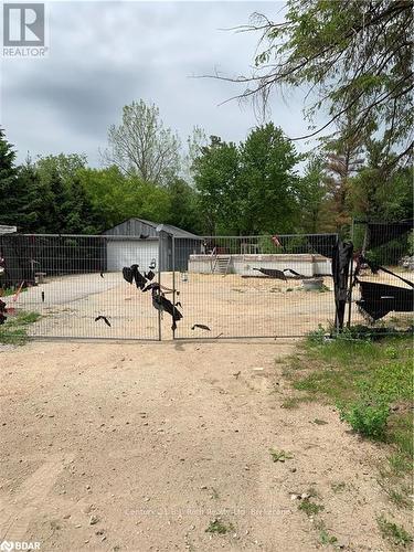 8240 Main Street, Adjala-Tosorontio, ON 