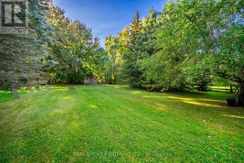 118 Patterson Street N, New Tecumseth, ON - Outdoor