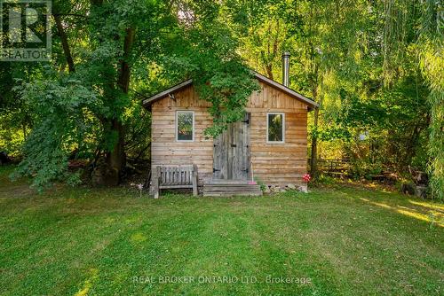 118 Patterson Street N, New Tecumseth, ON - Outdoor