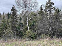Lot RJG-1 Long Beach Road  West Glenmont, NS B0P 1H0