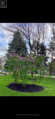 105 - 5 Shady Golfway, Toronto, ON - Outdoor With View