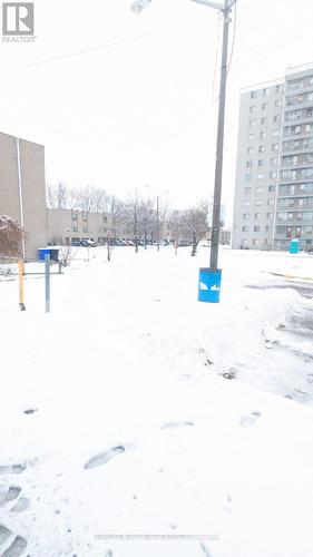 109 Lotherton Pathway, Toronto, ON 